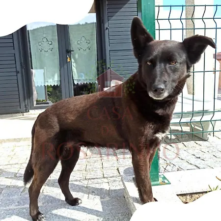 Casa Da Rosarinho - Casa De Ferias Com Piscina - * Arcos de Valdevez